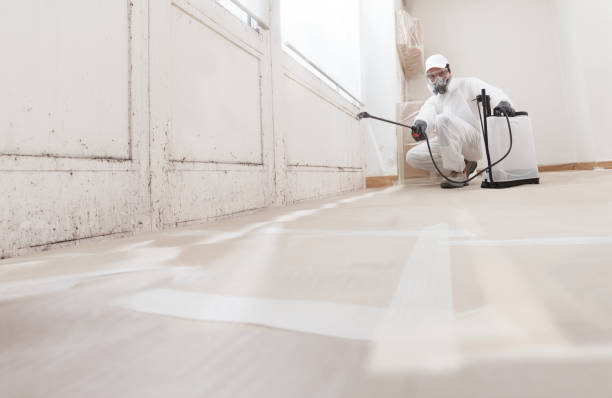 24/7 Emergency Mold Removal experts in Maywood, NJ