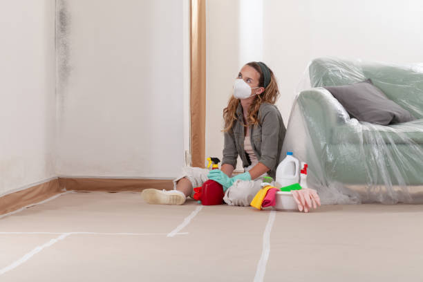Reliable Mold Removal contractor in Maywood, NJ by 24 Hour Mold Removal